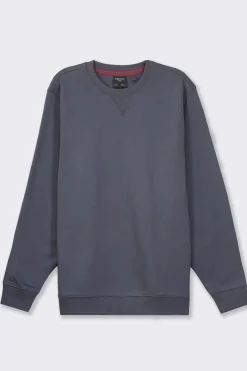 Piazza Italia Felpa basic regular fit in misto cotone garzato - Avion Blu Best