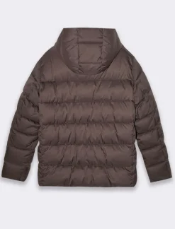 Piazza Italia Giubbotto imbottito in tessuto tecnico a collo alto con cappuccio - Moro Marrone Cheap