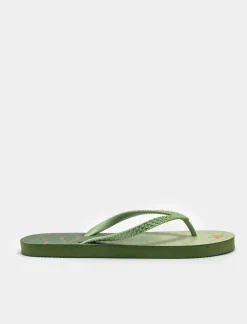 Piazza Italia Infradito stampa stelle marine da donna - Verde Fashion