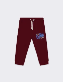 Piazza Italia Jogger in felpa garzataÂ con mini stampe - Bordeaux Hot