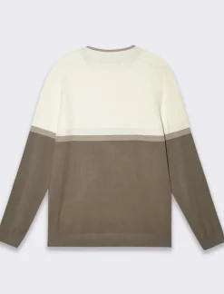 Piazza Italia Maglia girocollo lavorazione jacquard fantasia a fasce, regular fit - fango Grigio Fashion