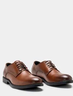 Piazza Italia Scarpa stringata in poliuretano - Marrone Cheap