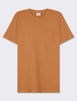 Piazza Italia T-shirt girocollo maniche corte regularfit in jersey puro cotone - tabacco Marrone Sale