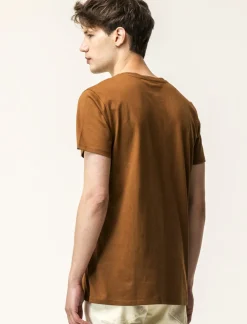 Piazza Italia T-shirt girocollo maniche corte regular fit in jersey puro cotone - tabacco Marrone Cheap