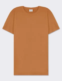 Piazza Italia T-shirt girocollo maniche corte regular fit in jersey puro cotone - tabacco Marrone Cheap